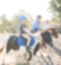 Anstead Acres