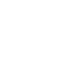 Boxing Professor PTY. LTD