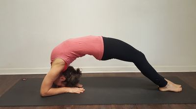 Yoga Shala