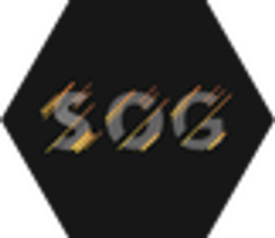 SOG Coaching - Sacha OLZER--GARBUIO