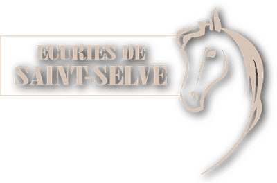 Les Écuries de St Selve