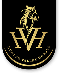 Hunter Valley Horses / @ the farm / HVH FARMS