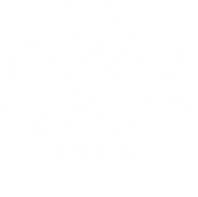 Qi Gong / Tai Chi Chuan