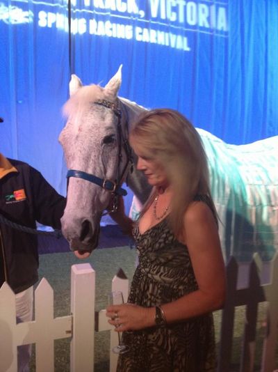 Hollylodge Thoroughbreds