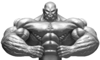 Silvogym