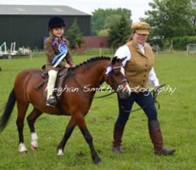Cherry Tree Farm Riding Academy