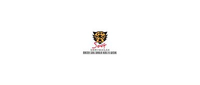 Master Song Shaolin Kung Fu Wushu - Learn authentic Kung-Fu