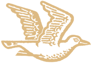 Boomrock car track