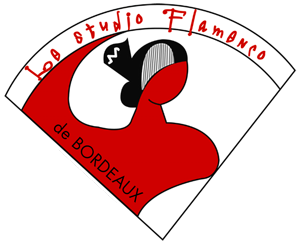 Le Studio Flamenco De Bordeaux
