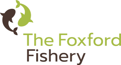 The Foxford Fishery