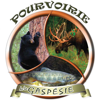 Pourvoirie de la Gaspsie