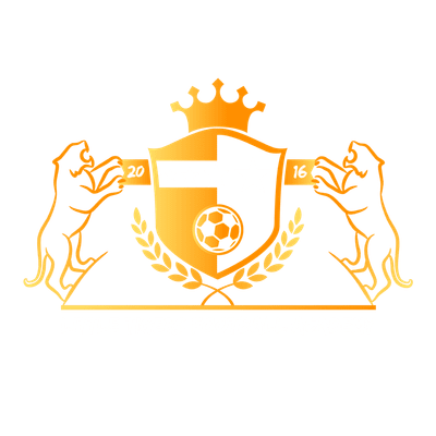 Little Tigers Football Academy (LTFA)