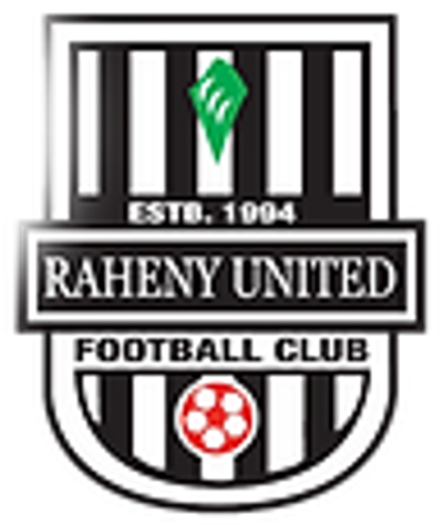 Pitch 15 Raheny United