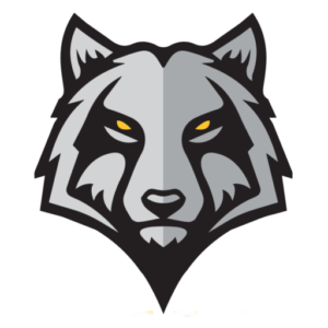 WCHA Hockey