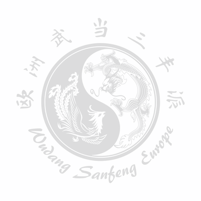 Wudang Sanfeng Europe Association Tai Chi À Blagnac