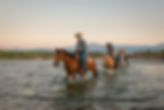 Waterton River Trail Rides Ltd.