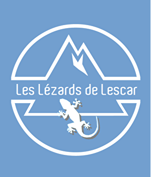 Lézards de Lescar