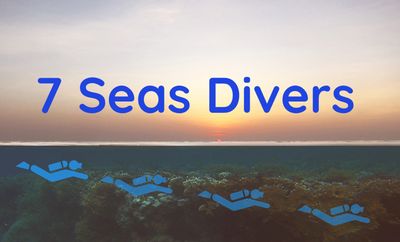 Seven Seas Divers