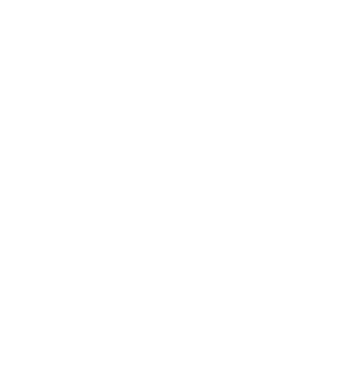 Surfzone Surf School Des Sables D'olonne