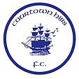 Courtown HIbs football club Courtown HIbs football club