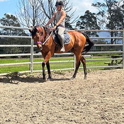 MMs Equine Sanctuary