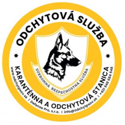 Štrkovisko Velký Biel