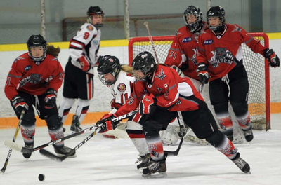 Windsor Wildcats Female Hockey