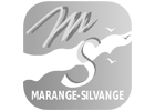 Us Silvange Basket