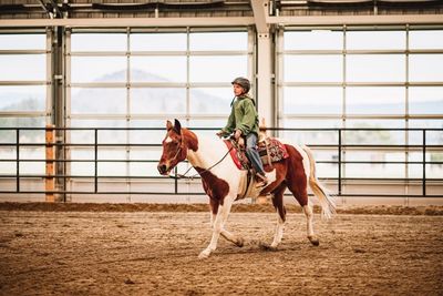 West Kelowna Stables