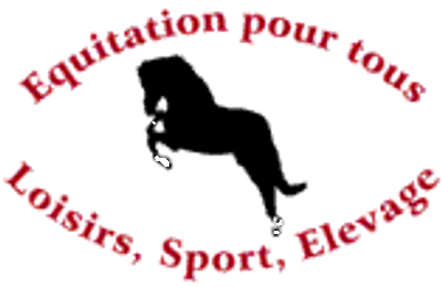 Un Poney Une Histoire Un Poney Une Histoire