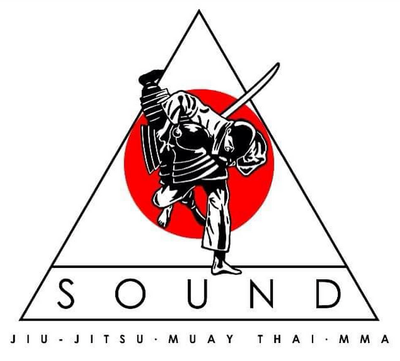 The Sound Martial Arts The Sound Martial Arts