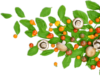 Lords Ayurveda Research Center | Panchakarma courses in kerala | Ayurveda courses in kerala