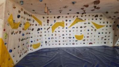 Climbing Wall Spider