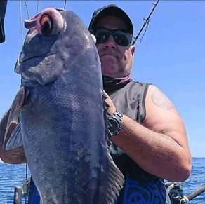 Warfish Charters
