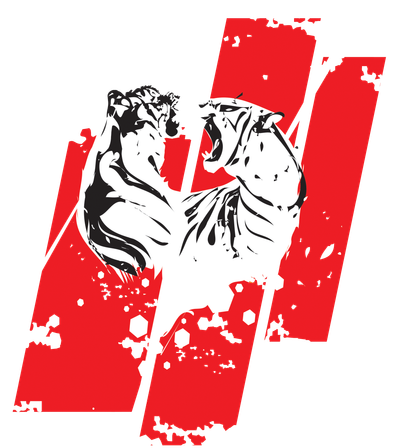 Academia Arena Combate