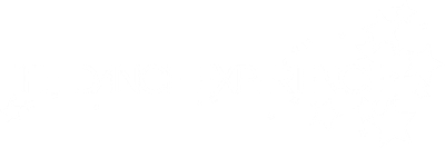 The Dance Experience