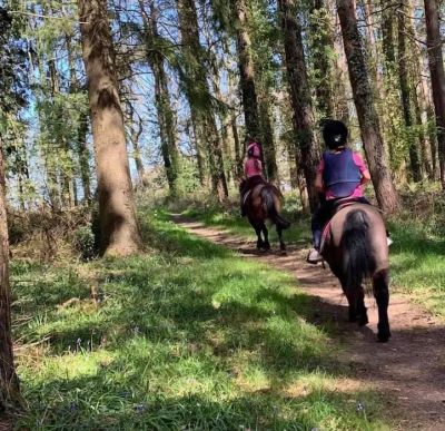 Honeybrook riding stables