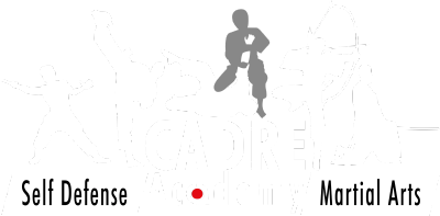 CADRE Self Defense & Martial Arts Academy
