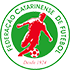 Liga Blumenauense de Futebol