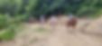 Winding Fences Farm Winding Fences Farm