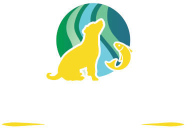 Yellow Dog Lodge Transportation Hub