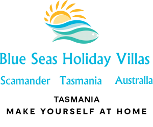 Blue Seas Holiday Villas