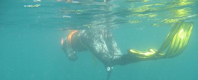 Trieux Diving