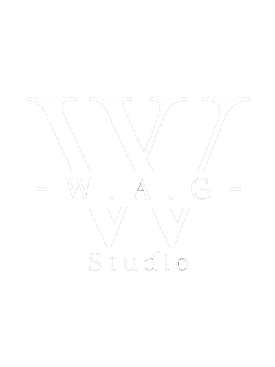 Wag Studio Dance - Ballet School Lille