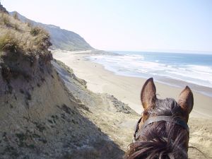 Timeless Horse Treks