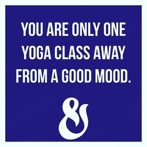 Snake & Twist Pilates And Yoga