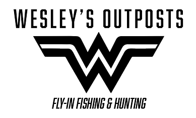 Wesley's Fly-In Outposts
