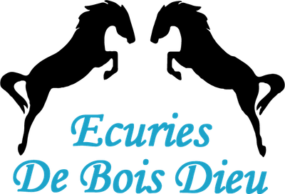Equestrian Center - Écuries De Bois Dieu