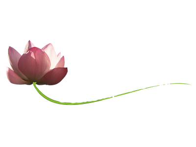 Sahaja Yoga Poitiers
