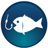 Bay of Islands Swordfish Club Inc